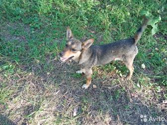 ���������� ����������� ������,  ���������� � ������ ����,  ���, ��� ����,  �� ����� ���� ����� ��� �� ����,  ���� ���� ��� ��������, �� �� �� ������,  ������ ��������, � ������������