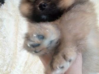 ��������, ��������, �������� ������� ��� �����������,  � �������� ���� ����� ������, �����6/6,������ � ������� ���������,  ���� ����� ����, ���� ���������, �������� � ������������