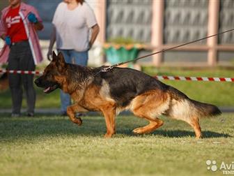 ���������  ����� �������� ������� ������ �����-������ ������ , ����, ������� 2 ������, �������� ���������� �������� �����������, �������� ��������� � ��������,  � ������������