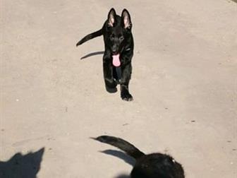 ������������ �� �������, ����� �������� �������,  ������� 3 ������,  ׸���� � ��������� �����,  ��� ���� � ������,  ����� �������� ���������� � ��������� ������������, � ������������