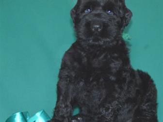 ������� ������ ������, ����� , �� ���������,  �, �, , 14, ������� 2019�,  ��� � ��������, ��? �������� ���� ��������, , � ����������� ������� �������� ����, ������, � ������������