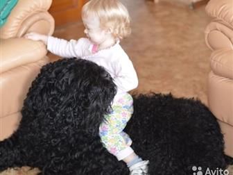 ������� ������ ������, ����� , �� ���������,  �, �, , 14, ������� 2019�,  ��� � ��������, ��? �������� ���� ��������, , � ����������� ������� �������� ����, ������, � ������������