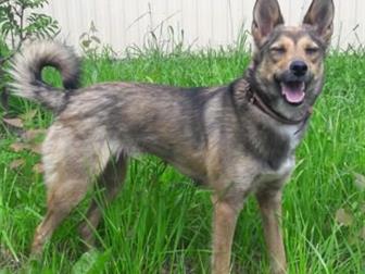 ����� �����, ��������� � �������� ������� ���� ������� ������, �����������, ��� ����,  ��� ����� ��������, ����������� �������,   ����� �����, ����� ������ ��������� � ������������