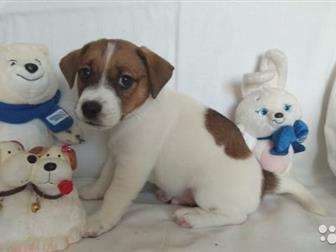 ��������� ����� ,������� , ������ 20, 06, 2019, ����������� ,  ������,   ������ ����� ���������� ,  �������� �� �������� ,  ������ ���� , � ������ �� ������� �������, � ������������