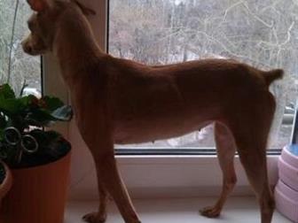 ������ ������ ����������� �������, ��� �������� � ���� �������,  �������� 23, 09, 2019�,  �� ���� ����,  � 23 ������� ������ ��������� � ����� ���, � ������������