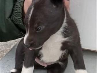 ����� �������� 1,5 ������ � ������ ����!� ��������� ����� �� ��� �������� ������ � ������,  ���� ������ ������ ����� ,����� �������� ���� � ����� ���, � ������������