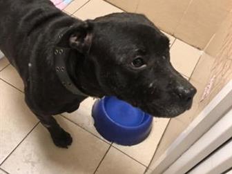 ����� � ����� ������ �������� �� ������ ���� ���� �����!���� ���������� � ����, �� ����� ���� ��� ��� ������ ����������� ����� � ����� ��� ��������, �������� �� � ������������