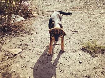 �����,������� 3-4 ������,����� �� ���� ����,��� ������� ��� ���������� ���������� ?? � �� ����� �����,�� ��������� �� ���( �� ������ �������� ��,����������������,����������, � ������������