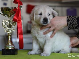 �������� ���������� ������ ����������� ��������� 5 ��������� � 4 �������, � ����������� ��� , ������������ ��������� �  ���������� �� �������� �� ������������ ���������, � ������������