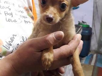 ������ ����� ����������,����� ���������,������ ����,������� ������� ����,,����� �������,�� �������� ���� �� ������� ���� � ������������