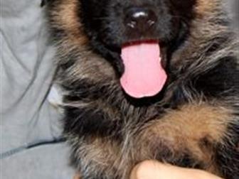 ����� �������� � �������� ������  (����� ����������� ������� � ��� ���� 1 �������������� ����), ���,  18  ������� 2019 ����  � ������ ������� ���������� ��� (������� � ������������