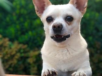 ������������ ����� � ������� ��������,  ����� � ����� ������ �������,  ����������� ���, ������ ����������,  ������������ ����� ����� � ������������