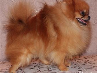 ��������� ����������  ������� 14 ���,  ���� ��������� - 19��,  ��� 2,1,  ����� ����� � �������� �����������,  ������-�������,  ������� ����, �������� ������,  ����������, � ������������