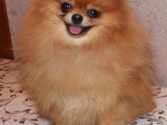 ��������� ����������  ������� 14 ���,  ���� ��������� - 19��,  ��� 2,1,  ����� ����� � �������� �����������,  ������-�������,  ������� ����, �������� ������,  ����������, � ������������