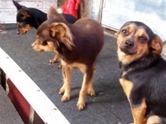 ������ ������ ���- �������, ������ ����� ����� �� �����,  ������������� ��! �� �����, �� �����! ��������, �� �������,  ����� ���� � ��� ������������, �� �� ���������� � ������������