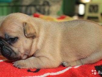 ���� ���������� � ���� ������ �������,  ������������ ��� �������� � �������,  ������� ������� � ���� ����������, ��� ������� ����� ������ � �����,  �� ���� ������ � ������������