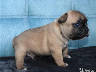 ���� ���������� � ���� ������ �������,  ������������ ��� �������� � �������,  ������� ������� � ���� ����������, ��� ������� ����� ������ � �����,  �� ���� ������ � ������������