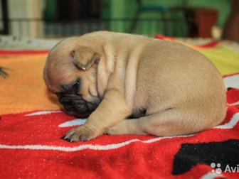 ���� ���������� � ���� ������ �������,  ������������ ��� �������� � �������,  ������� ������� � ���� ����������, ��� ������� ����� ������ � �����,  �� ���� ������ � ������������