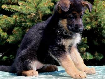 ������ �� ����� �������� ������, �������� ������, �������� ���, ����� �������� ���,����� ���������� ���,  HD,  ED-a-normal,  ���1, ��������� �������� �� �������������� � ������������