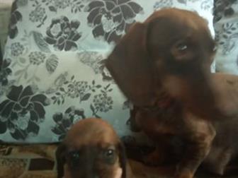 ����� ����� � ������������