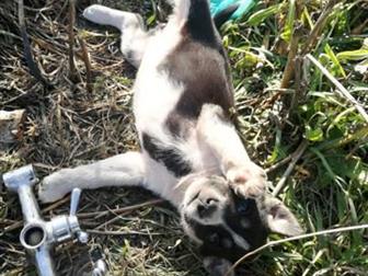 ����� ������������������� �������!) 1, ���������� � ���� �� ���� ������ � ������������