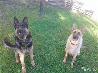 ������ �������� �������,  ������� 2 ������,  �������� ������������ ����� ������� ������ ���� �� ����,  ���������� ���������, ��� ��� ����� ���������� � ���� �����, � ������������