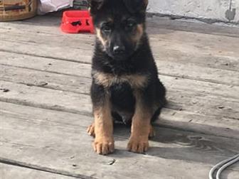 ������ �������� �������,  ������� 2 ������,  �������� ������������ ����� ������� ������ ���� �� ����,  ���������� ���������, ��� ��� ����� ���������� � ���� �����, � ������������