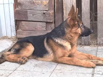 ��� , �����,  ���, �������,  �� 10 �, �, � ������������