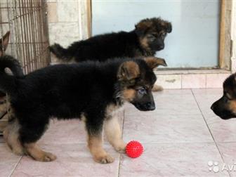 ��� , �����,  ���, �������,  �� 10 �, �, � ������������