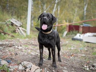 �����������! �������� � ��������� ������� ���� ���! ??����, ������� � �������� ��, ���� ������������� � ������� ������, ?� ���� ������ ������������ � ���������� � ������������