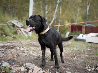 �����������! �������� � ��������� ������� ���� ���! ??����, ������� � �������� ��, ���� ������������� � ������� ������, ?� ���� ������ ������������ � ���������� � ������������