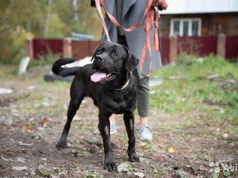 �����������! �������� � ��������� ������� ���� ���! ??����, ������� � �������� ��, ���� ������������� � ������� ������, ?� ���� ������ ������������ � ���������� � ������������