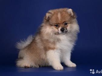 ������������ � ������� ���� ������� 3 ���,  ���� �������� 03, 07, 19,  ��������� ���,  �������� �������,  ��� �����������, � ������������