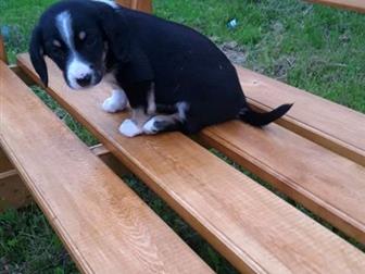 ����� ��������!!!���� ����� ������ ������!! � ������������