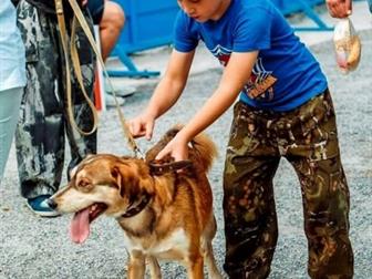 ����� ��������� � ����� , ����� ������� ����������� ������� ,  �������� ������� ����� ���������,  ����� ����������� , ������ � ��������� �� ��������� � ������������