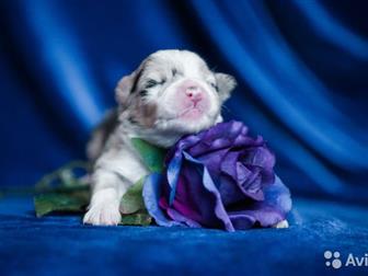 ������������� ������� ��� ��������� ���� ����� �������� �������� ��� �� ������ ��� ���������� �������� �������� ������ �����: ������ ����� ����������, ������������������� � ������������