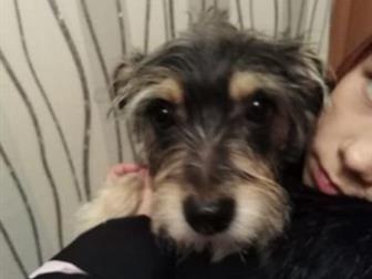 ������� 8 �������! �������� ����� ������! ��� ������� �� ��������!!!! � ������������