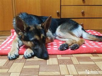 ������� ������, ����, ������� �� ��������� �������� ������� � ������������