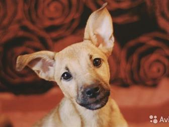 ���� �������,���� ������� �� , ����� ������,  �������� ��������� , ������� �� 4 ������ , ������� , ���������� �� ��������� ,  ���� ������� � ��������,  �������� � ������������