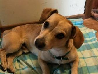 ������� ��������� ������, ������� � ������� ���� � ������������