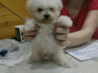 �������� �������!3 ���, �������,��� �������,�������� �� ������, ������ �������� ���, ������������, ����� �����������, ����� �����! �����-����������� �������! ������ � ������������