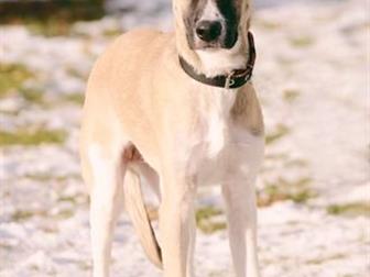 ���� ����� , ���� ����������� ��� ,  ����� 5 �������,  ������� ,����� �����, ���������� �� ��������� , ������� , ����� ��������� � �����,  ����� ������ ��������� � ������������