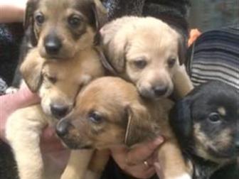 ��� �������! �������� 13, 10, 19,   � ��� �� ����������! ����� �� �������! � ������������