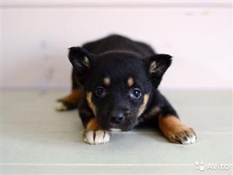 ��� ������ ,������ , ��������� �� ��������� , �������� ��������� � ������� �����, � ������������