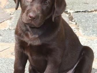 ���� ������� ����� ��������� ��������� � ����������� , ������, ��������� ,��������, �������� 30, 10 2019,  � �������� ����� ������ � 20 ������� , ���������� �������� � ������������