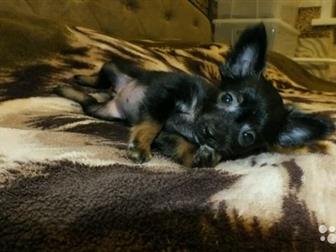 ��������� � ������� ����� ��������������� ���� ���-�������,  ������� ����� � ������, ������� ������ � ��������,  ����� ������ � �����������,  �/� 7 �������,  �� � ������������