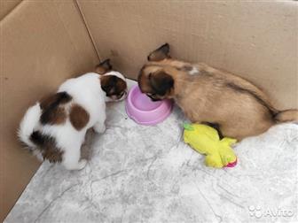 ������������ �  ������� �������� ����� �������� � ���������� �����������, ���� �������� 13, 10, 19, 2 ����-���������� ������� (�/� � �/�), 2 ���������-��������� � ������������