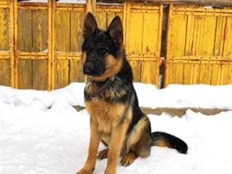    - 10 ,  ,  ,  ,    (  ),  