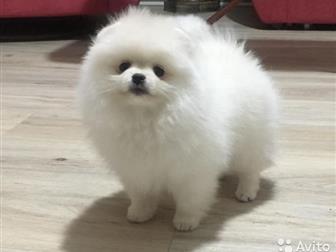      , ()   02, 11, 2019,  ,   ,    Wot*s app  ,  