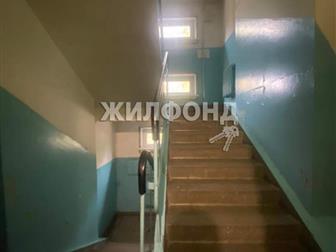 2 ,    ,  ,   : 42, 50 , ,  
 
   2-         ,  